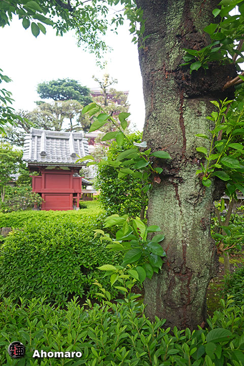 写真00