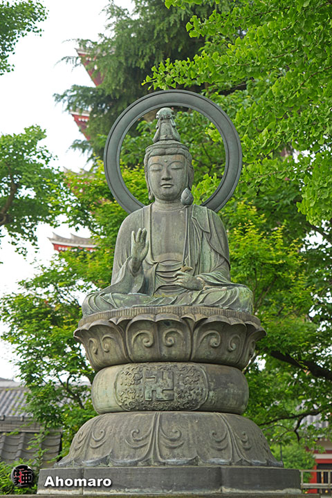 写真00