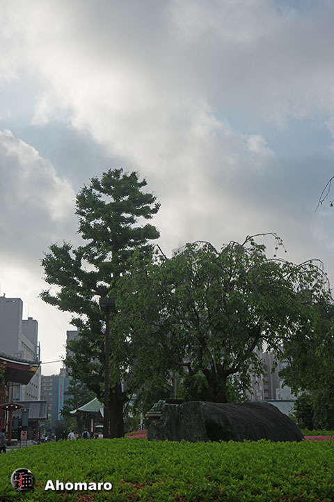 写真00