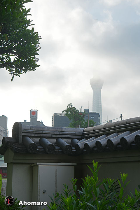 写真00
