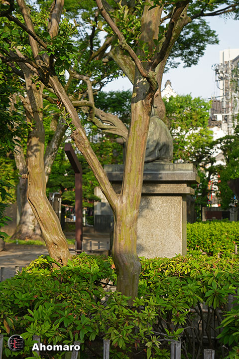 写真00