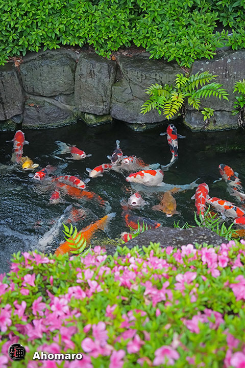 写真00