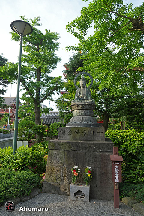 写真00