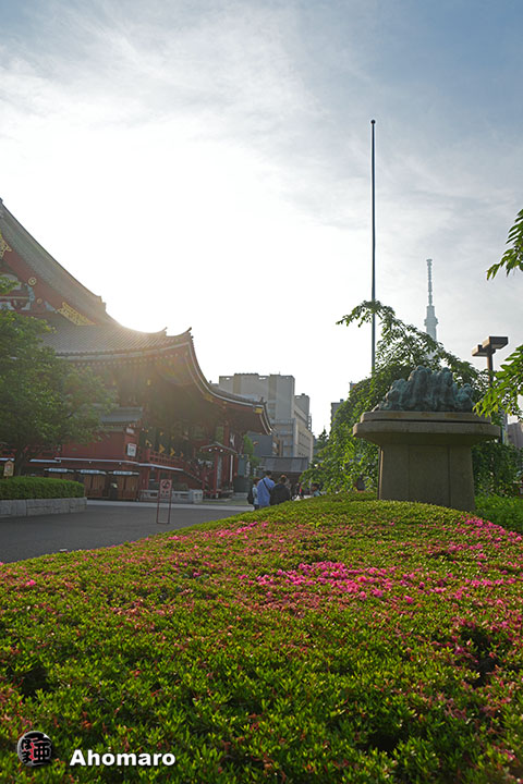 写真00
