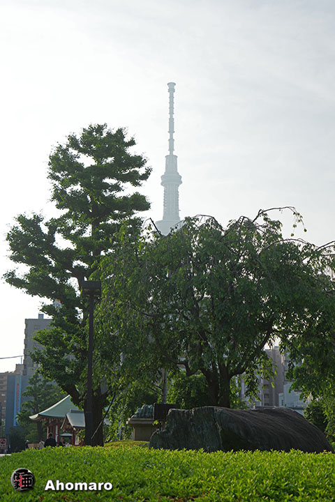 写真00