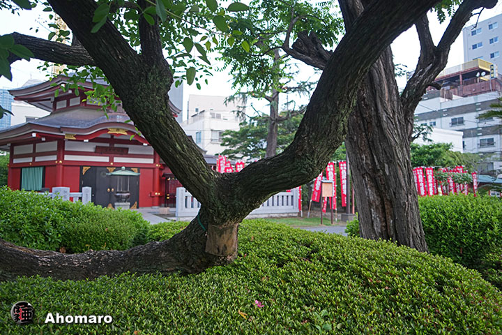 写真00