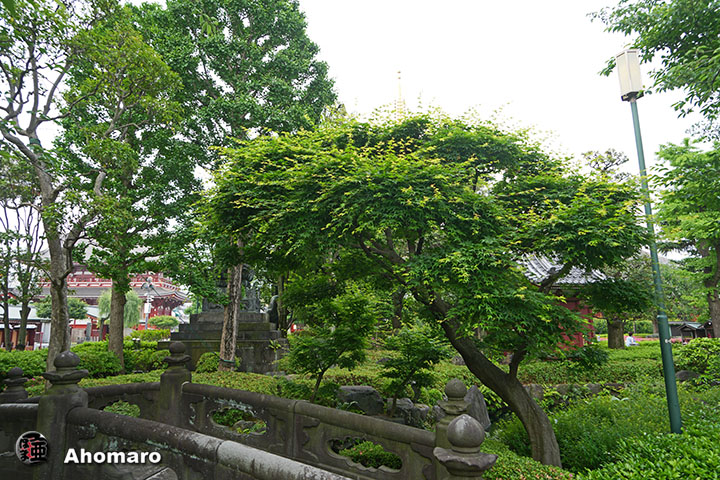 写真00