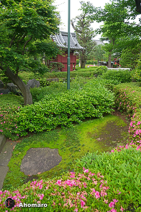 写真00