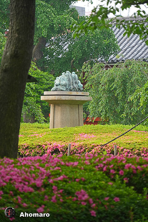 写真00