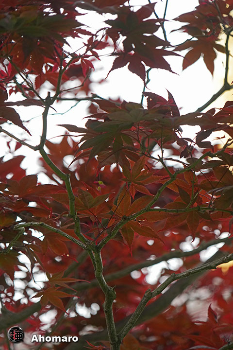 写真00