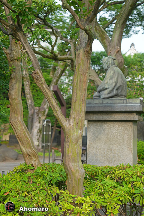 写真00