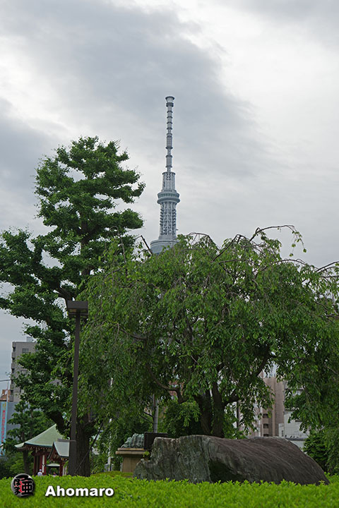 写真00