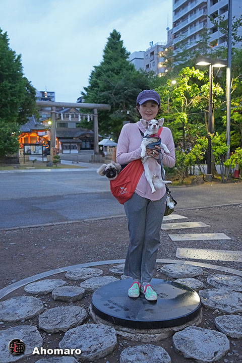 写真00