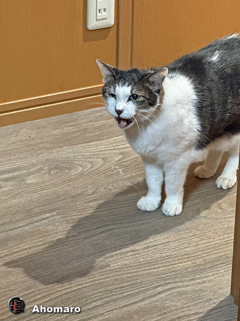 ʐ^00