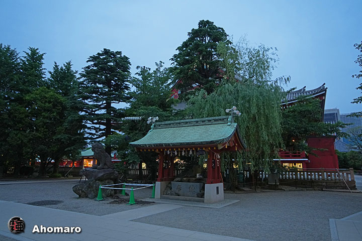 写真00