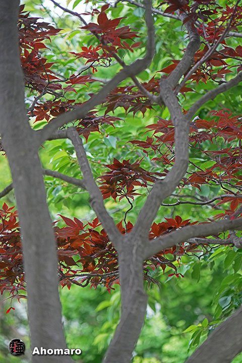 写真00