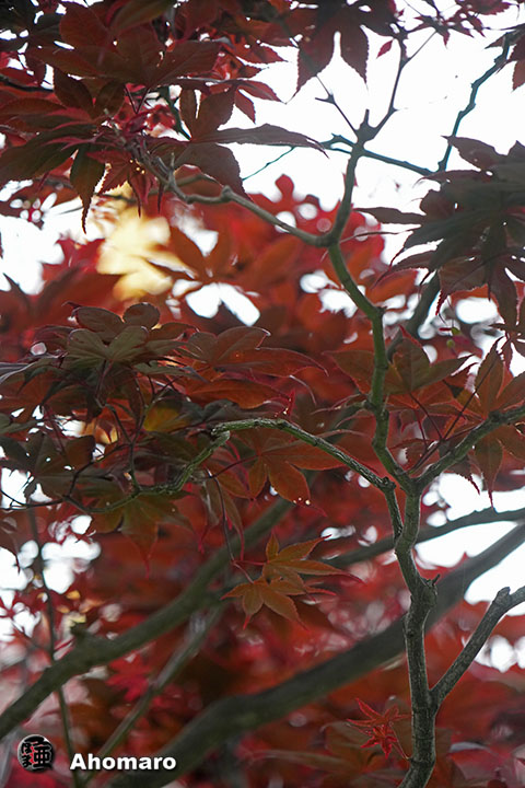 写真00