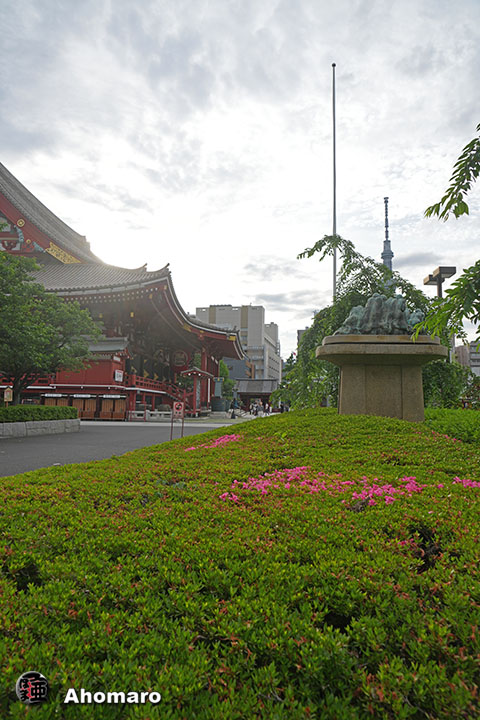 写真00