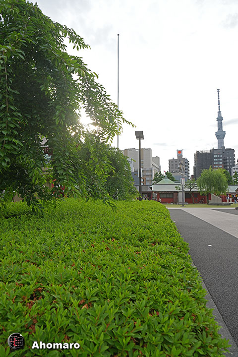 写真00