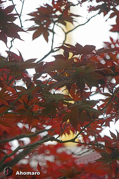 写真00