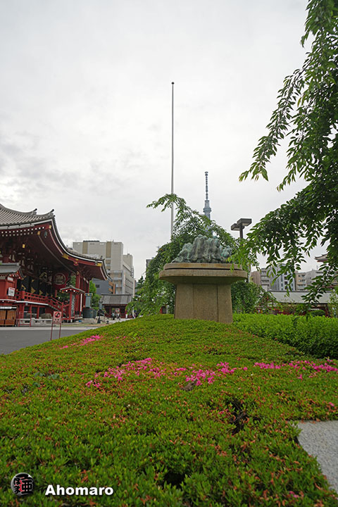 写真00