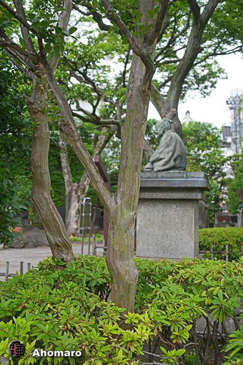 写真00
