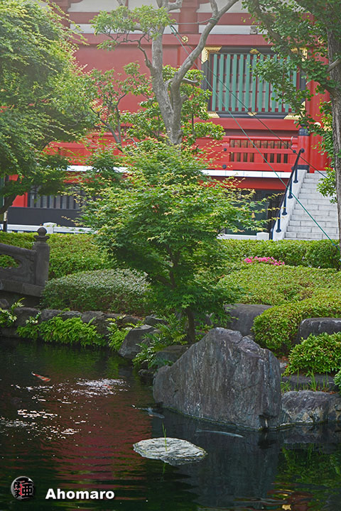 写真00