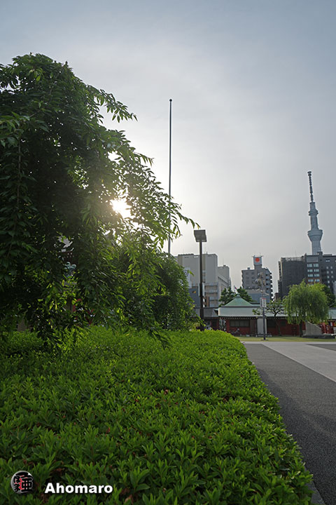 写真00