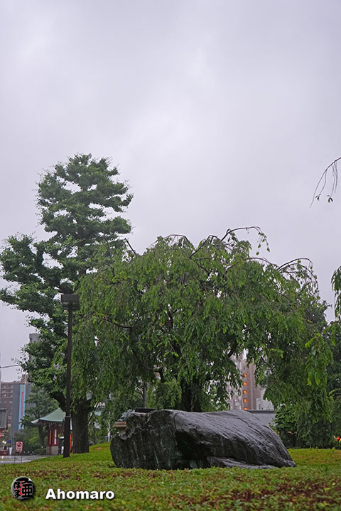 写真00