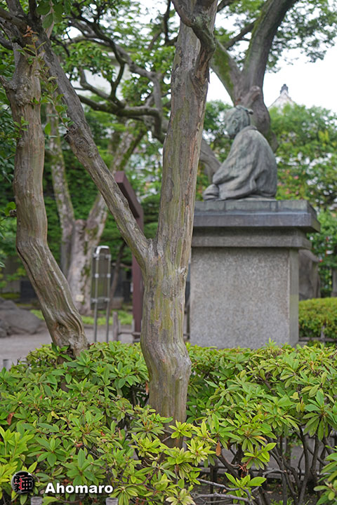 写真00