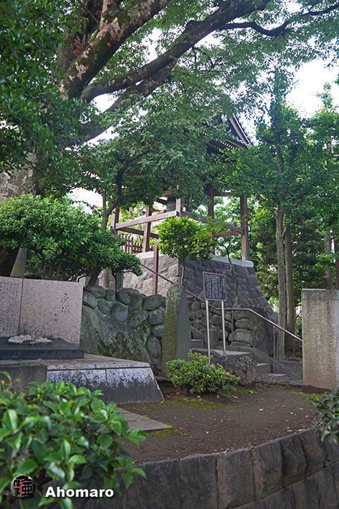 写真00