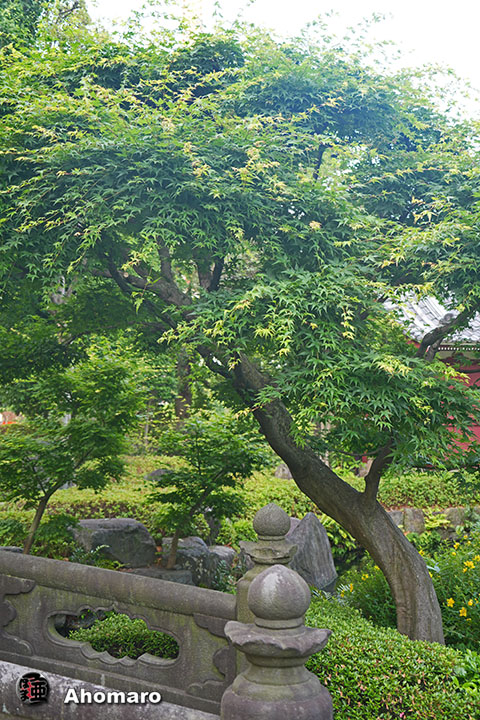 写真00