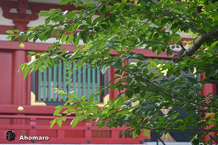 写真00