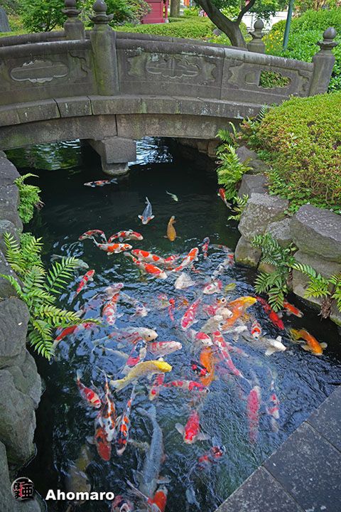 写真00