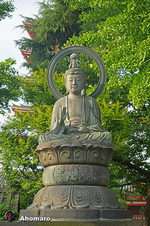 写真00