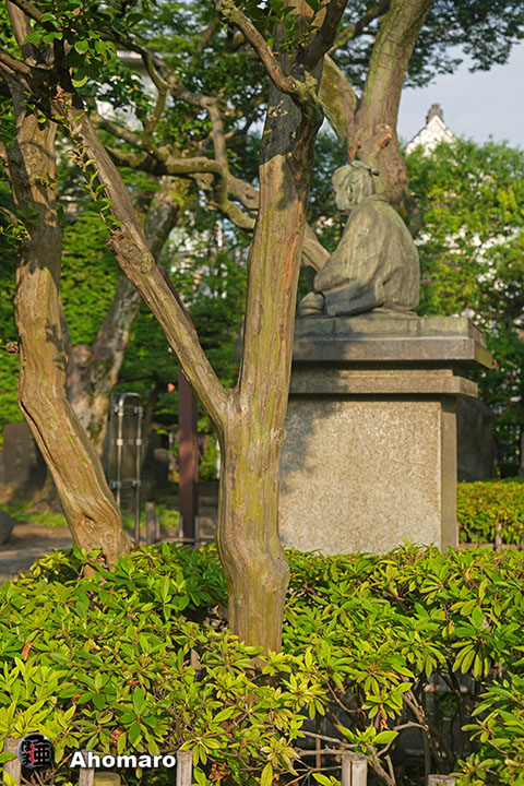 写真00