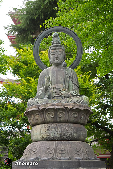 写真00