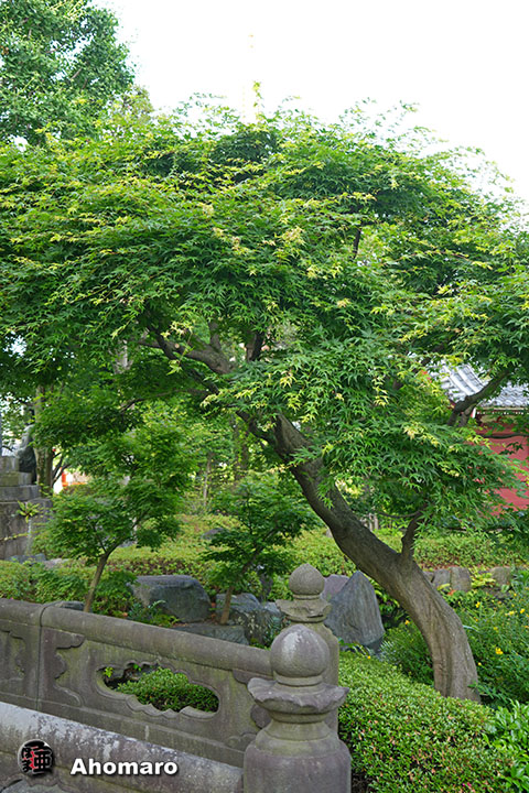 写真00