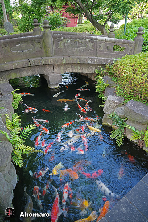 写真00