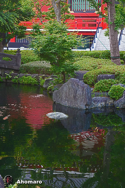 写真00