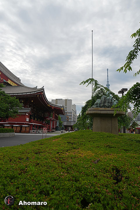 写真00