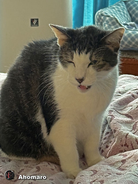 ʐ^00