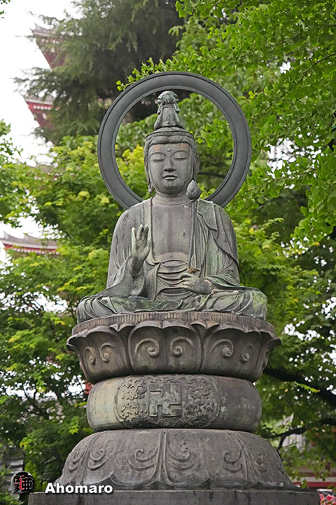 写真00