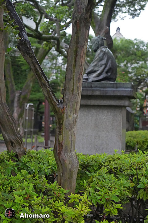 写真00