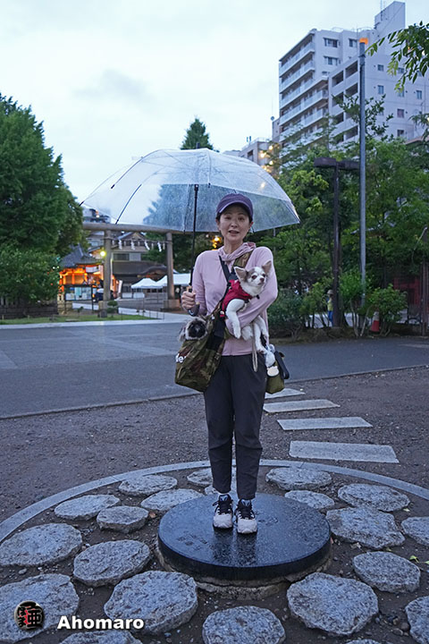 写真00