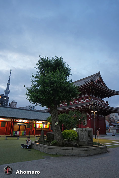 写真00