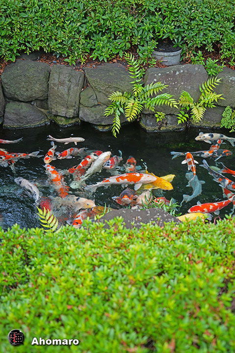 写真00