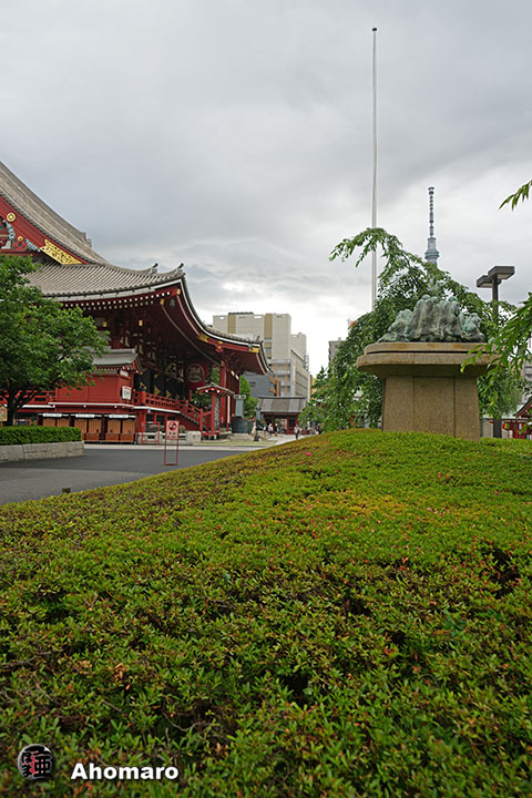 写真00