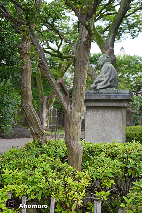写真00