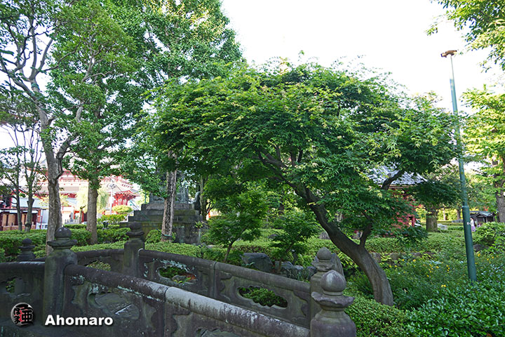 写真00